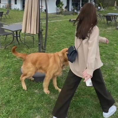 你会在那里吗